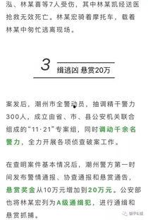 潮州爆料曝光案件最新,最新曝光案件震惊公众，真相即将揭晓！
