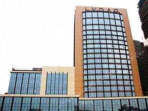 石狮绿岛最新爆料,揭秘神秘项目背后的惊人真相