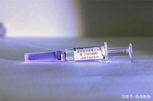 新冠疫苗最新爆料,突破性进展与潜在风险揭秘