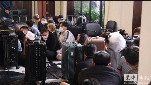 柬埔寨电诈爆料最新