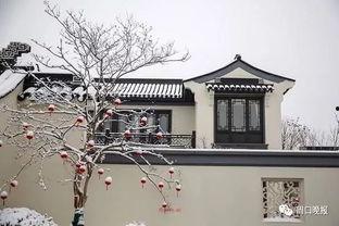 周口桃李春风最新爆料,揭秘项目最新进展与亮点