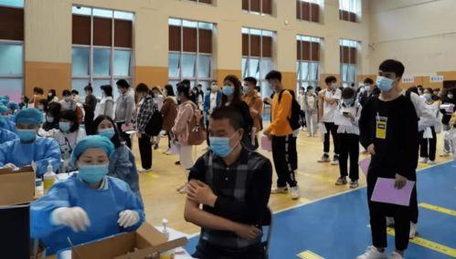 成都真实爆料事件最新消息,揭秘XX事件背后真相